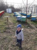 Продава КЪЩА, гр. Тутракан, област Силистра, снимка 2