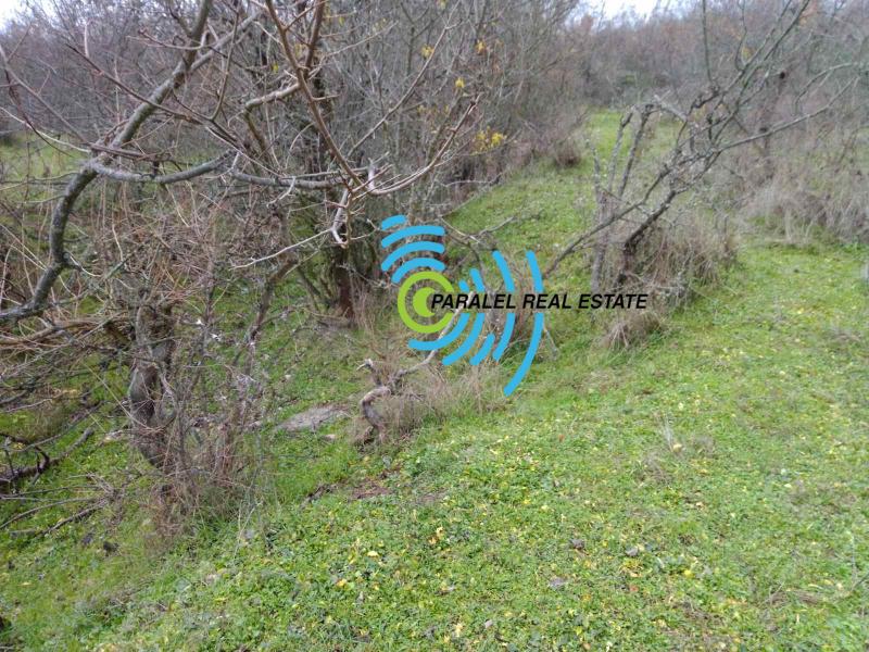 ������� ������ | Imot.bg � ����������� 5