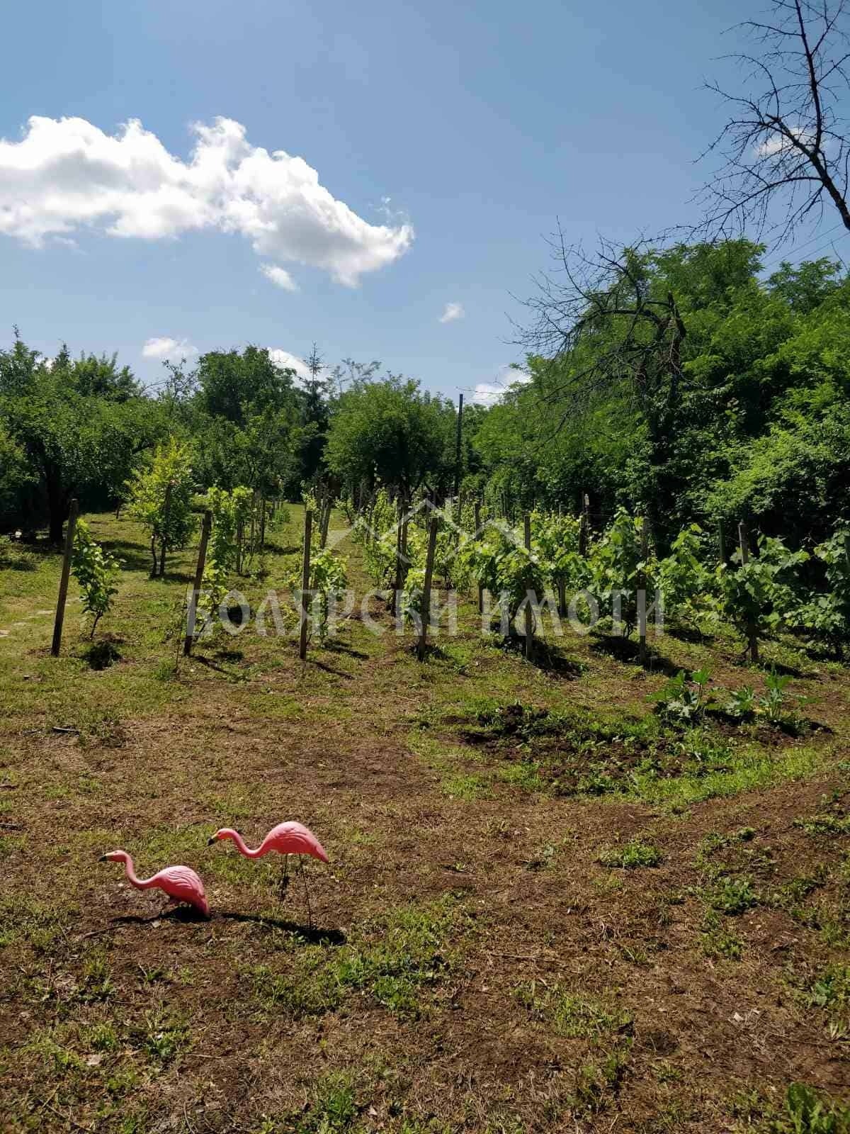 Продава ПАРЦЕЛ | Imot.bg — изображение 1