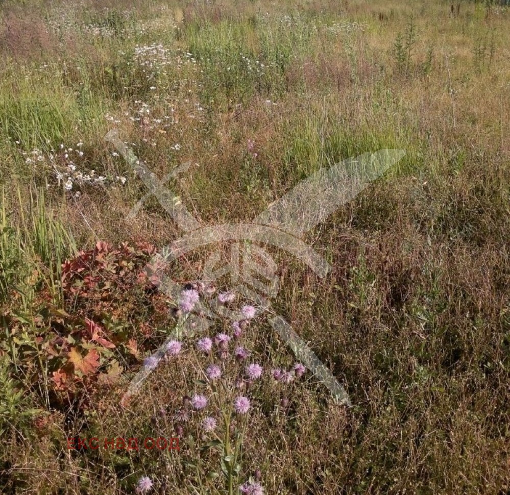 Продава ПАРЦЕЛ | Imot.bg — изображение 1