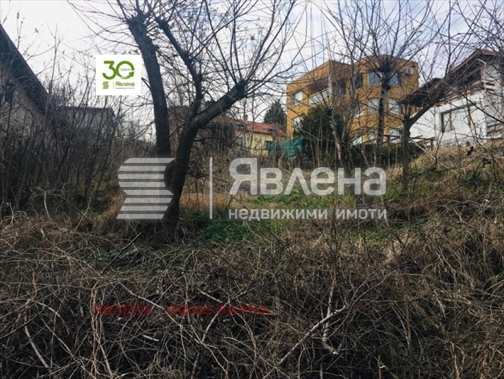 Продава ПАРЦЕЛ, с. Кранево, област Добрич, снимка 3 - Парцели - 52699804