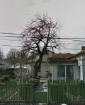 Продава КЪЩА, гр. Добрич, Кралска зона, снимка 1