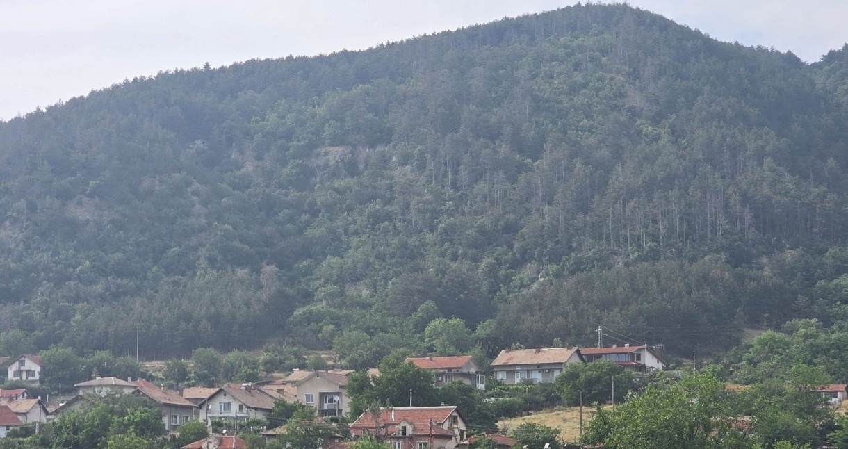 ������� ���� | Imot.bg � ����������� 12