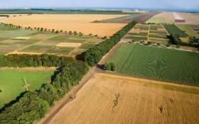 En venta Tierra
