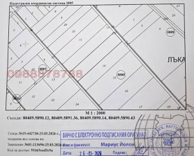 ����� ������� ���������� ����,��. ���� �����, ������ �����