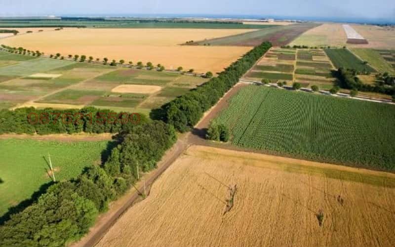 Te koop  Land regio Dobritsj , Svoboda , 12.5 dka | 89749791