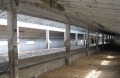 Продава БИЗНЕС ИМОТ, с. Девене, област Враца, снимка 2