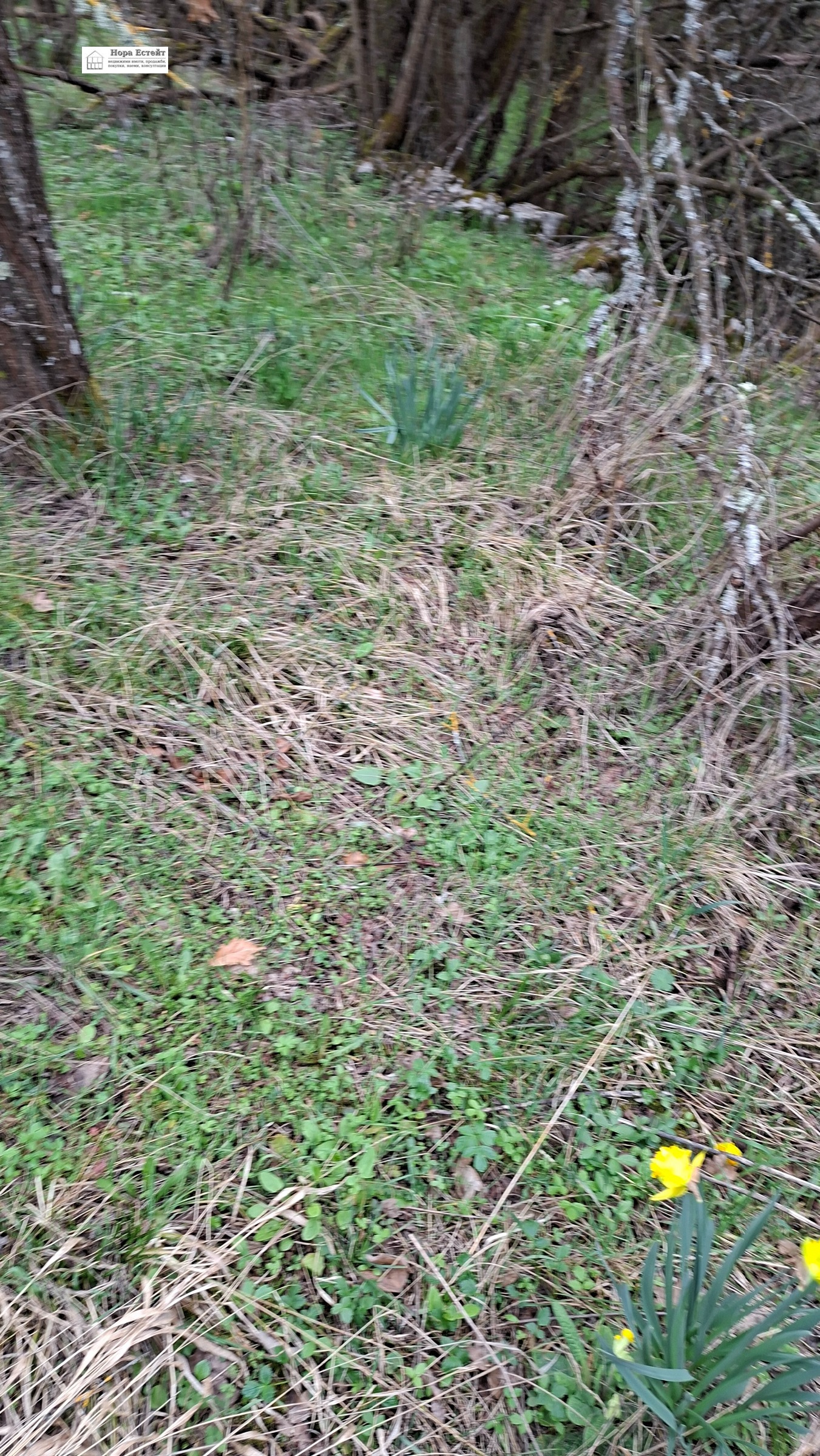 ������� ���� | Imot.bg � ����������� 10