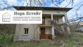 ������ ������� ����