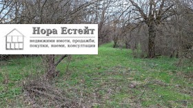 ����� ������� ����,��. ��������, ������ �����