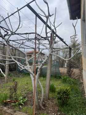 ������� ���� | Imot.bg � ����� ������ 6