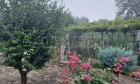������� ���� | Imot.bg � ����� ������ 11