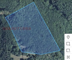 ������ ������� ������