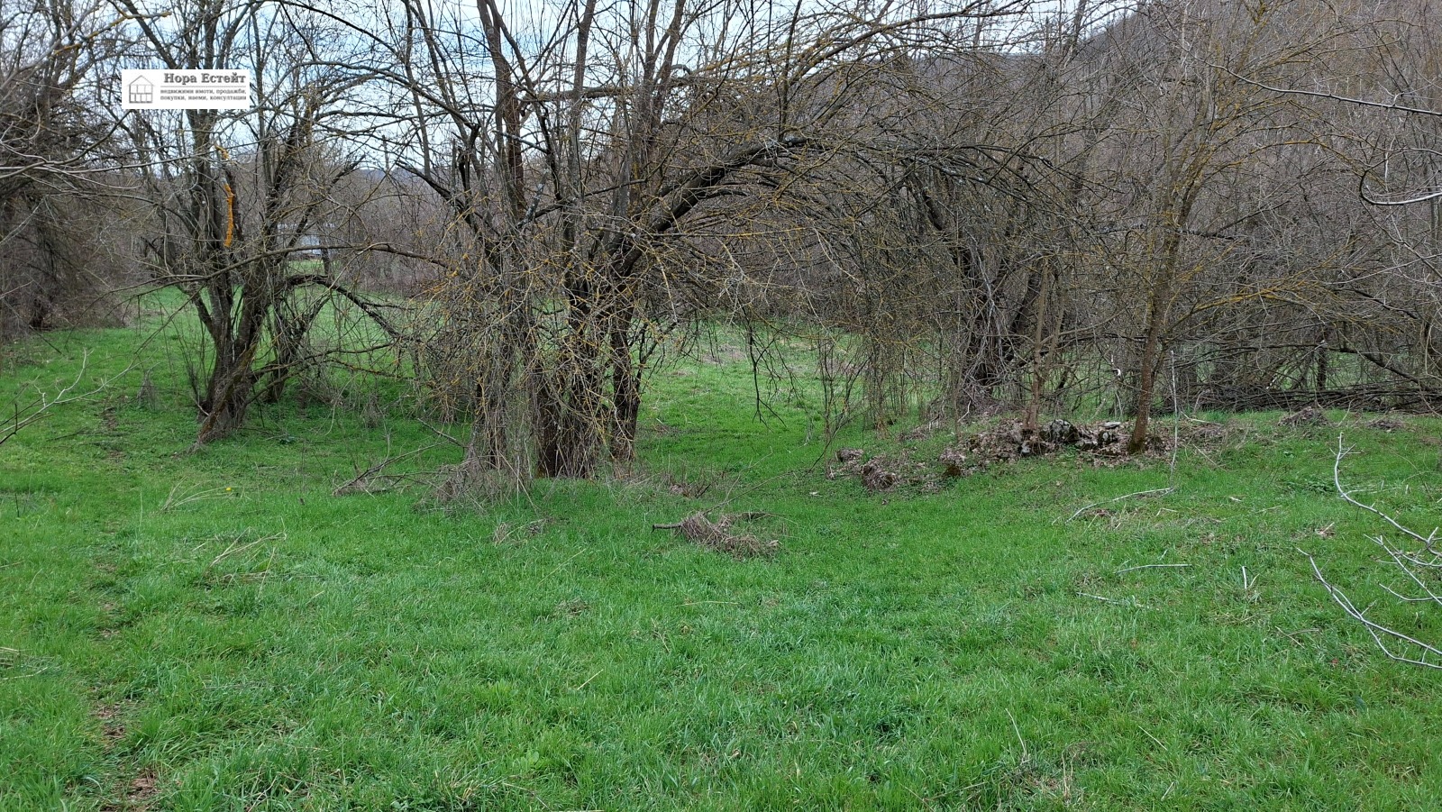 Продава КЪЩА, гр. Ябланица, област Ловеч, снимка 4 - Къщи - 54022114