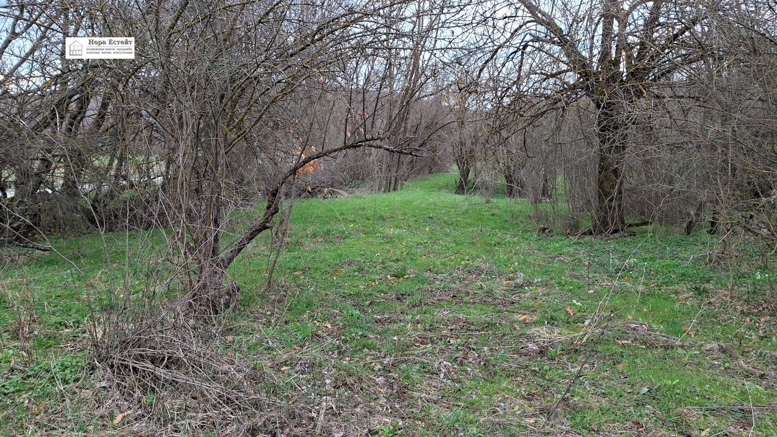 Продава КЪЩА, гр. Ябланица, област Ловеч, снимка 3 - Къщи - 54022114