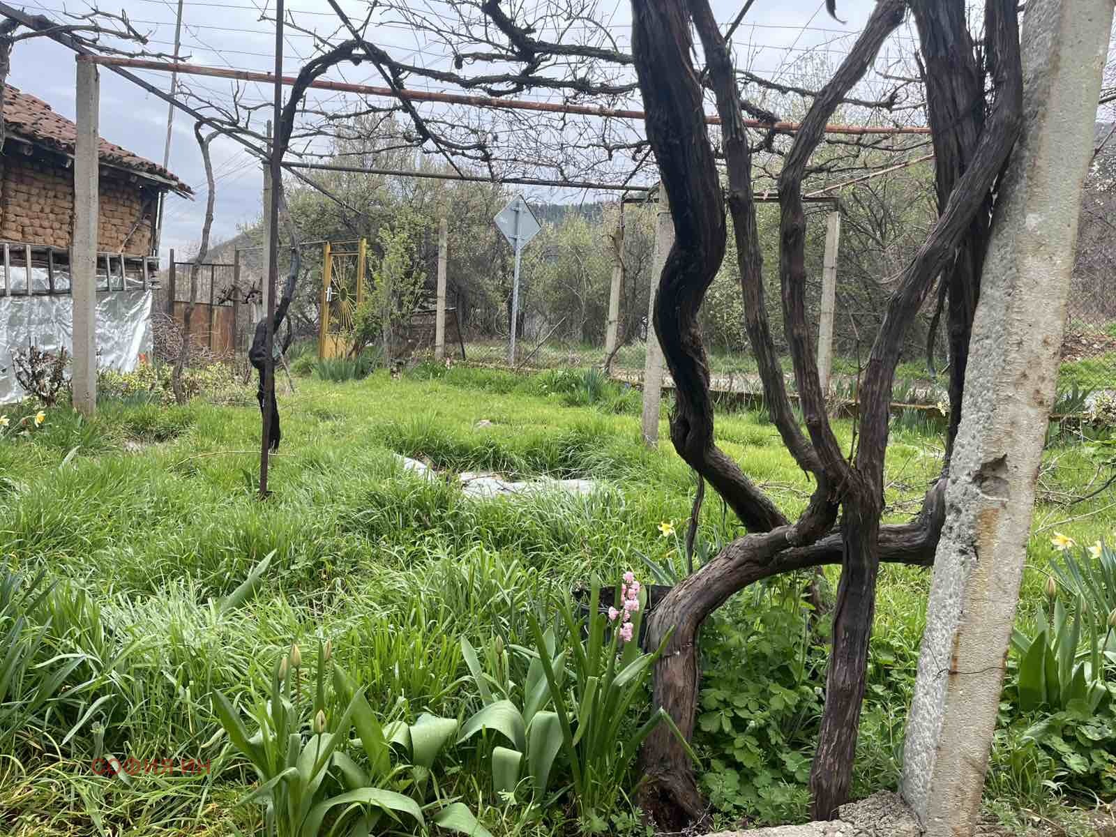 Продава КЪЩА, с. Доброво, област Кюстендил, снимка 9 - Къщи - 54063372