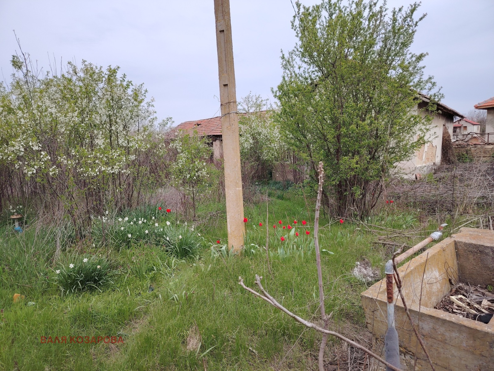 Продава КЪЩА, с. Байкал, област Плевен, снимка 5 - Къщи - 53887500