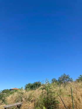 In vendita Complotto