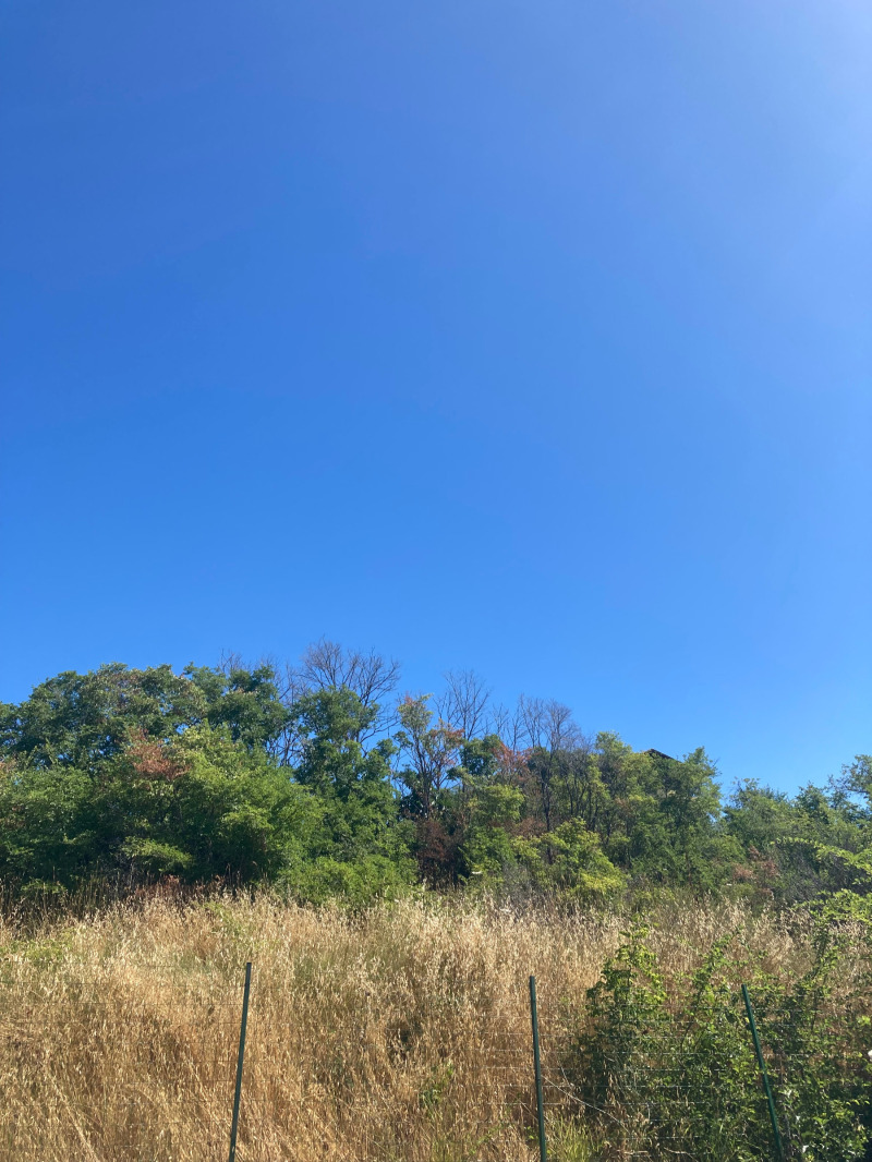 Na prodej  Spiknutí oblast Burgas , Sozopol , 792 m2 | 80859353 - obraz [2]