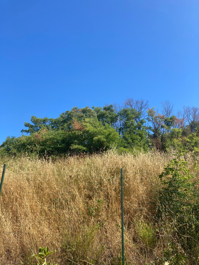 Na prodej  Spiknutí oblast Burgas , Sozopol , 792 m2 | 80859353 - obraz [3]