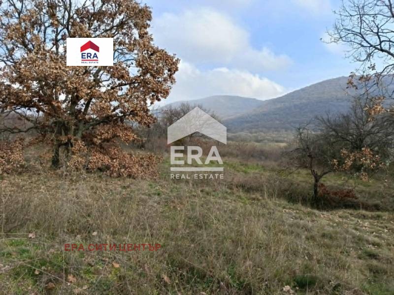Продава ПАРЦЕЛ, с. Ново село, област Стара Загора, снимка 2 - Парцели - 52651913