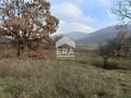 Продава ПАРЦЕЛ, с. Ново село, област Стара Загора, снимка 2