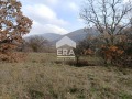 Продава ПАРЦЕЛ, с. Ново село, област Стара Загора, снимка 2