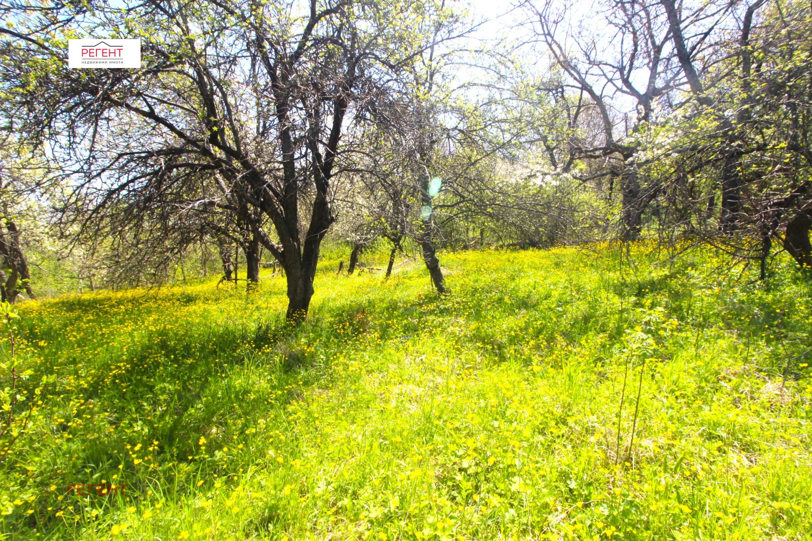 Продава ПАРЦЕЛ, с. Здравковец, област Габрово