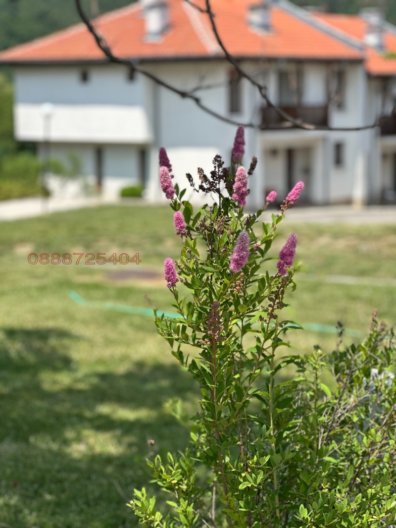 For Sale  House region Sofia , Dolna banya , 96 sq.m | 77786345 - image [17]