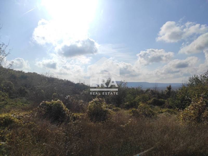 Προς πώληση  Οικόπεδο περιοχή Dobrich , Οβροτσητστε , 7556 τ.μ | 30864850 - εικόνα [2]