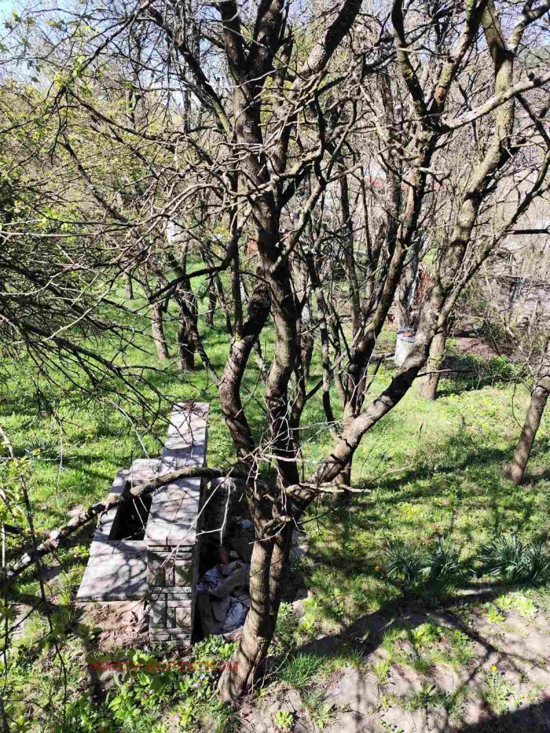 Til salg  Hus region Pernik , Dragichevo , 200 kvm | 96079961 - billede [11]