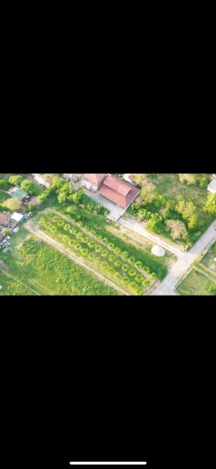Na prodej  Spiknutí Sofia , Volujak , 1130 m2 | 98825483 - obraz [6]