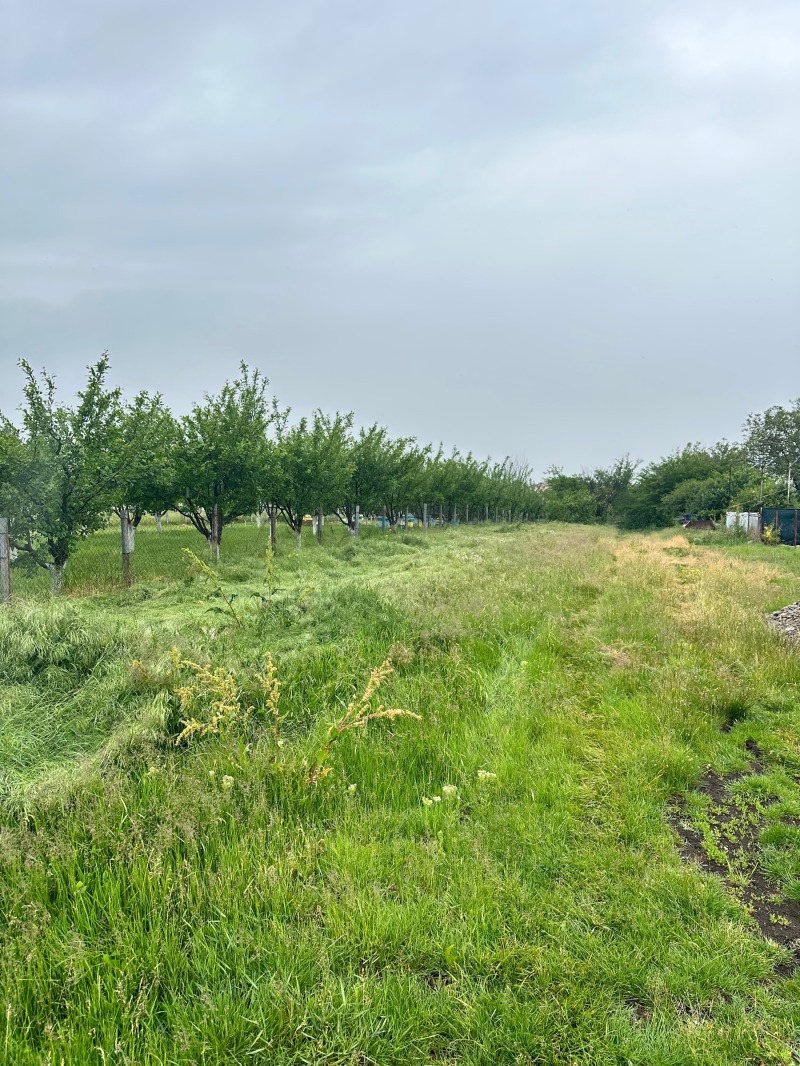 Na prodej  Spiknutí Sofia , Volujak , 1130 m2 | 98825483 - obraz [2]