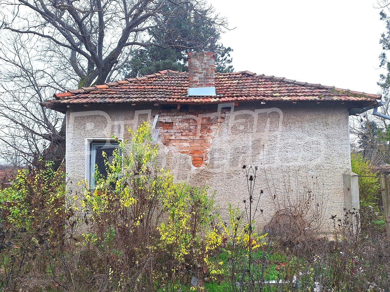 ������� ���� | Imot.bg � ����������� 12