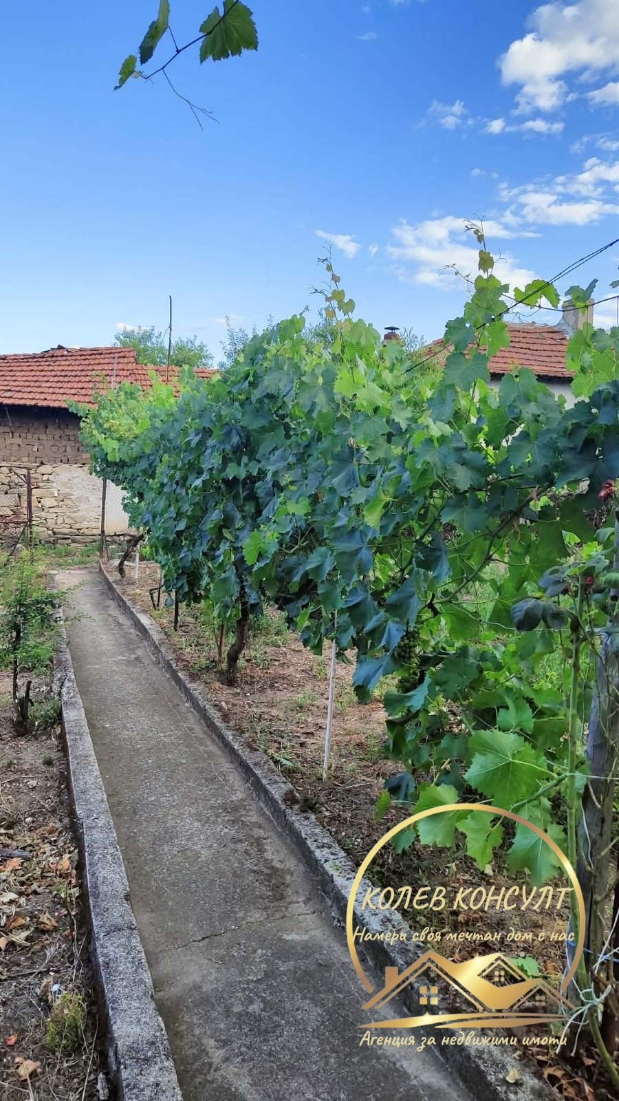 ������� ���� | Imot.bg � ����������� 3