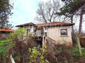 ����� ������� ����,�. ������, ������ ������ �������