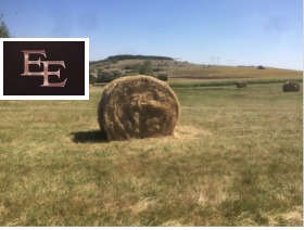 ������� ������ | Imot.bg � ����� ������ 10