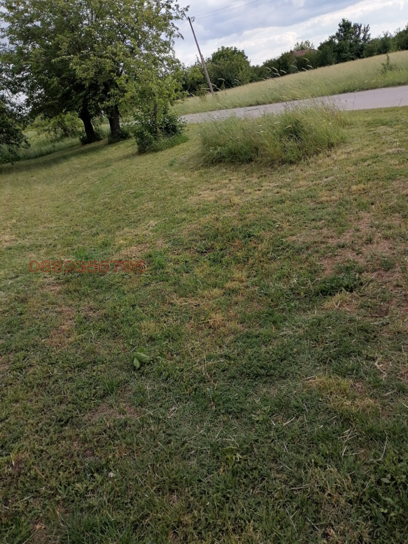 Продава КЪЩА, с. Долно Церовене, област Монтана, снимка 12 - Къщи - 52779012