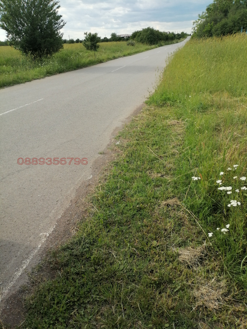 Продава КЪЩА, с. Долно Церовене, област Монтана, снимка 11 - Къщи - 52779012