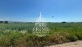 Продава ПАРЦЕЛ, гр. Игнатиево, област Варна, снимка 2