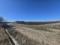 Продава ПАРЦЕЛ, с. Пожарево, област София област, снимка 4