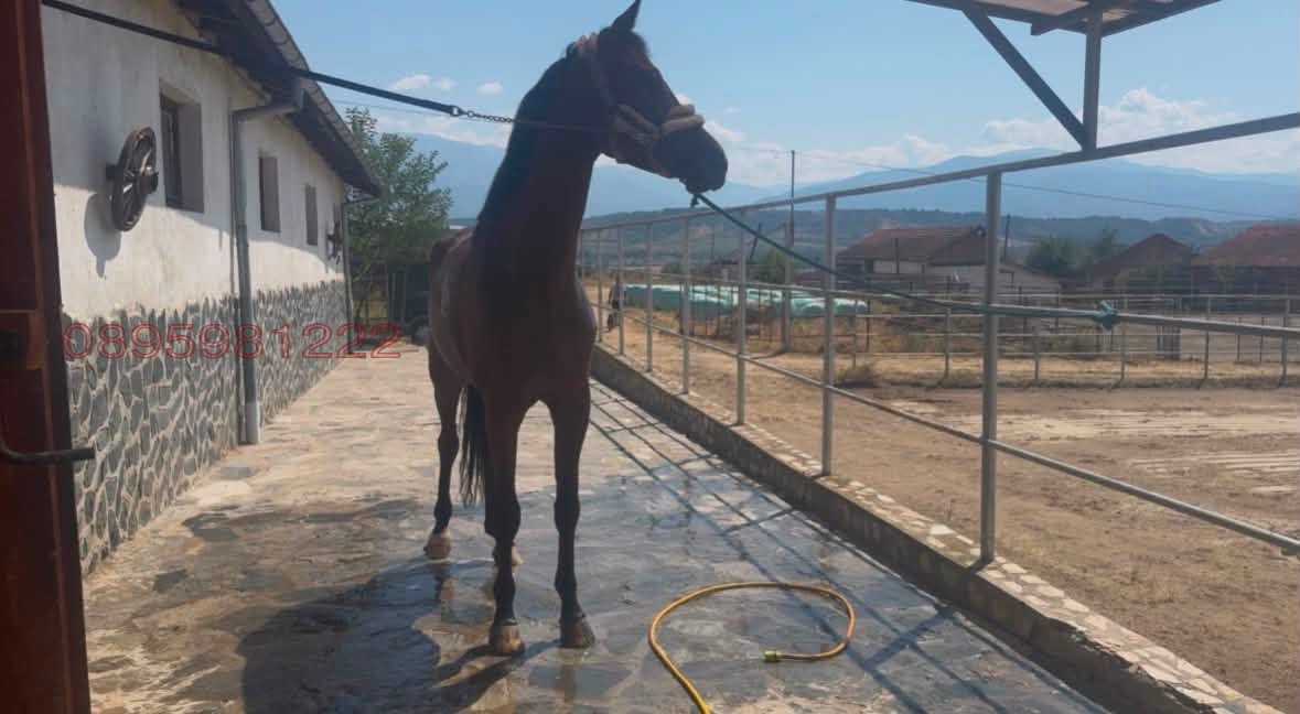 ������� ����� | Imot.bg � ����������� 4