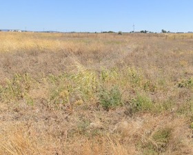 Verhaallijn Promisjlena zona - Sever, Burgas 1