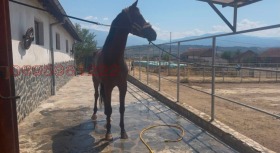 ������� ����� | Imot.bg � ����� ������ 4