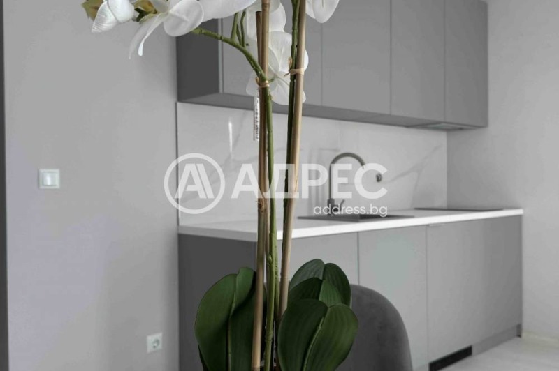 Продава 2-СТАЕН, к.к. Слънчев бряг, област Бургас, снимка 6 - Апартаменти - 51577368