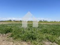 Продава ПАРЦЕЛ, с. Златитрап, област Пловдив, снимка 1