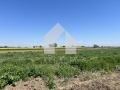 Продава ПАРЦЕЛ, с. Златитрап, област Пловдив, снимка 3