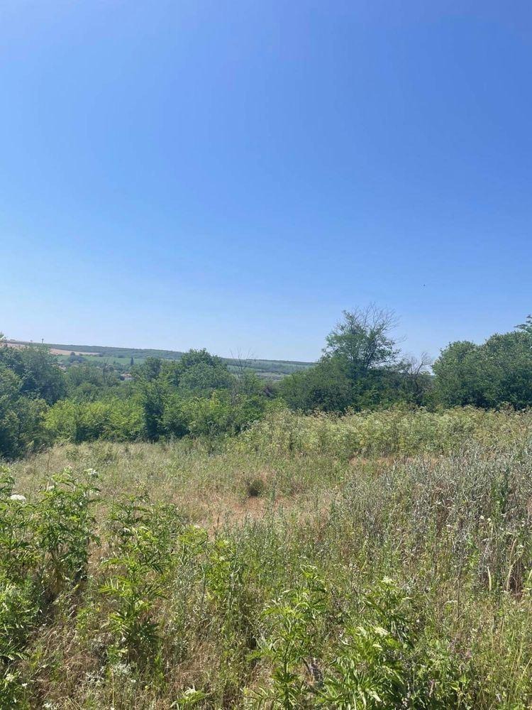 ������� ������ | Imot.bg � ����������� 2