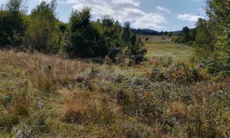 Продава ПАРЦЕЛ, област Ловеч, с. Рибарица • 23380 € • 67927445 — Holmes.bg