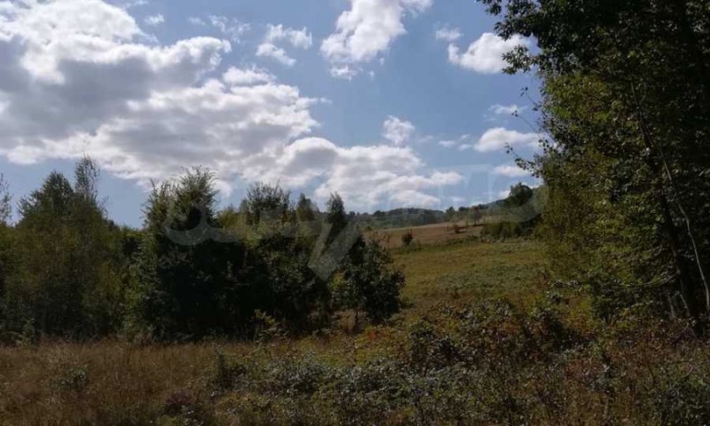 На продаж  Сюжет область Ловеч , Рибарица , 1169 кв.м | 15346243 - зображення [5]